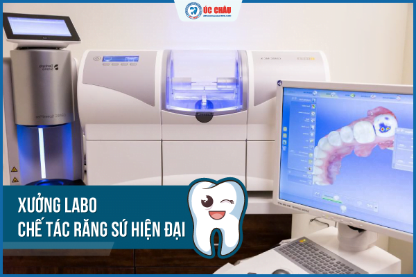xưởng labo chế tác sứ hiện đại Thanh Hóa